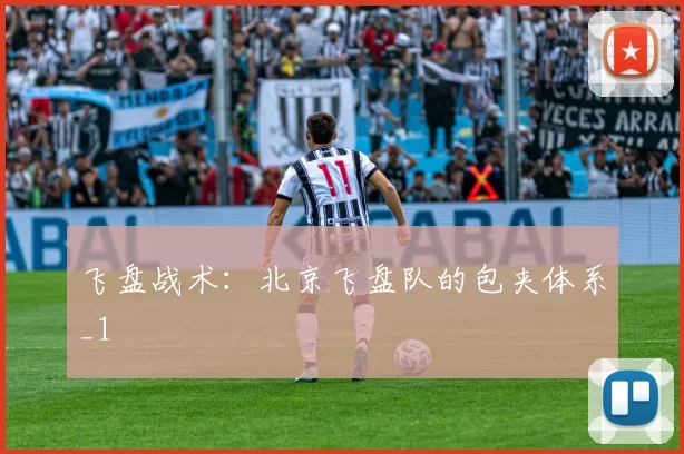 飞盘战术：北京飞盘队的包夹体系_1