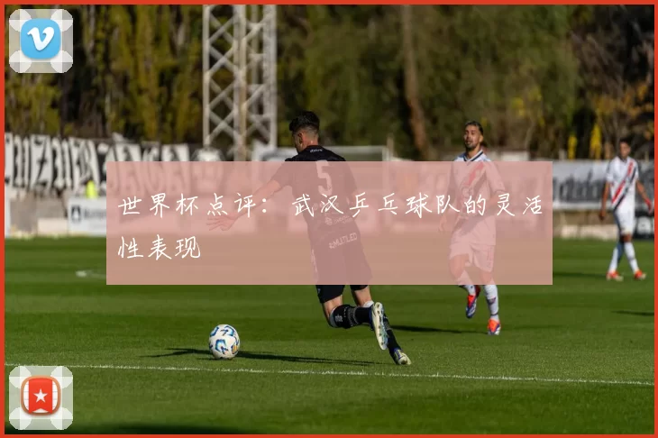 世界杯点评：武汉乒乓球队的灵活性表现