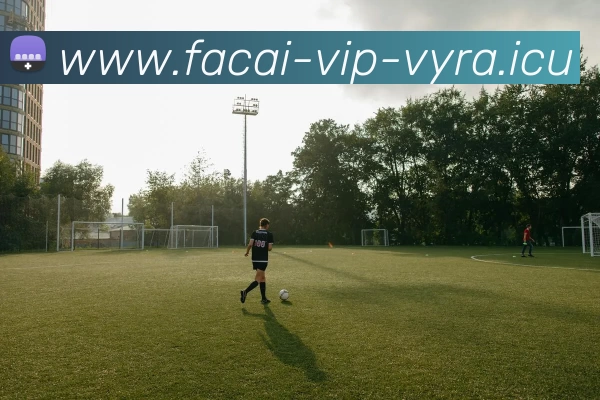 乐鱼体育发展历程